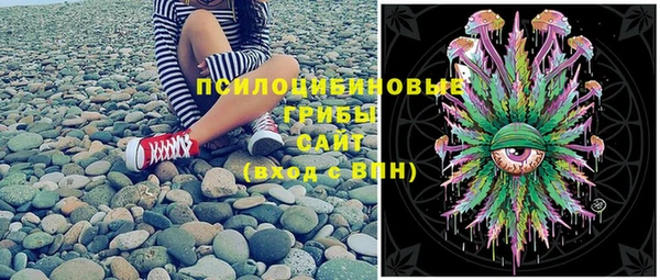 мяу мяу мука Ессентукская