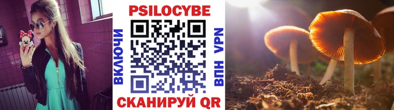 Купить  Карабулак  Галлюциногенные грибы Magic Shrooms 